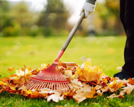 Tipps für die Gartenarbeit