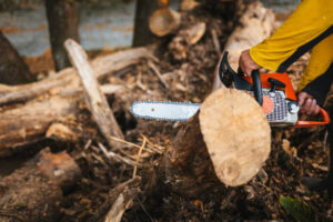perfekte Baumschnitt