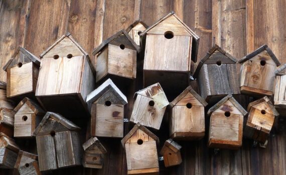 Vogelhäuschen im privaten Garten